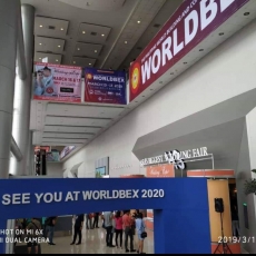 WORLDBEX 2019