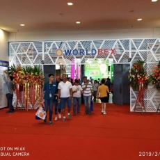 WORLDBEX 2019