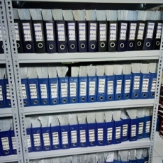 STEEPLATE - Capacity 300kg & 800kgs