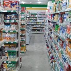 Light Duty Gondola (Wiremesh Type)