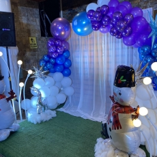 image 20241219092712