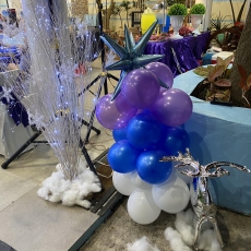 image 20241219092721