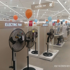 image 20250313220533